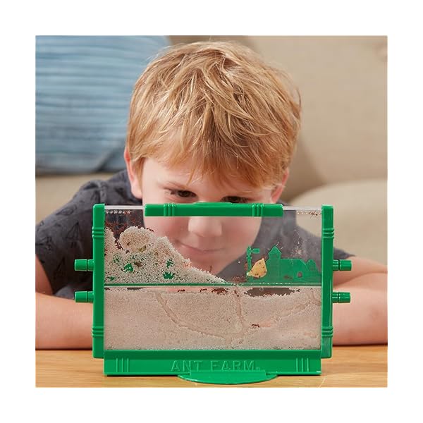 Uncle Milton Ant Farm Insect Gourmet Your guide to edible insects