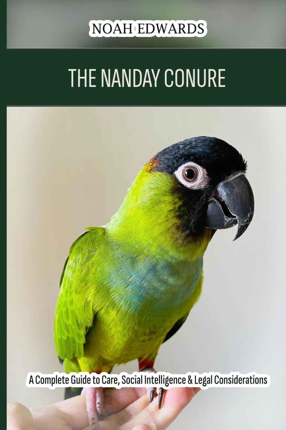 The Nanday Conure: A Complete Guide to Care, Social Intelligence & Legal Considerations