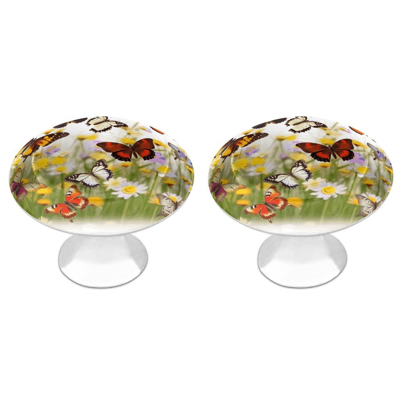 Btcowzrv Style Group Of Butterflies 2 Pack Cabinet Knobs Drawer Pulls