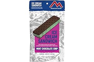 Mountain House Mint Chocolate Chip Ice Cream Sandwich | Freeze Dried Backpacking & Camping Food