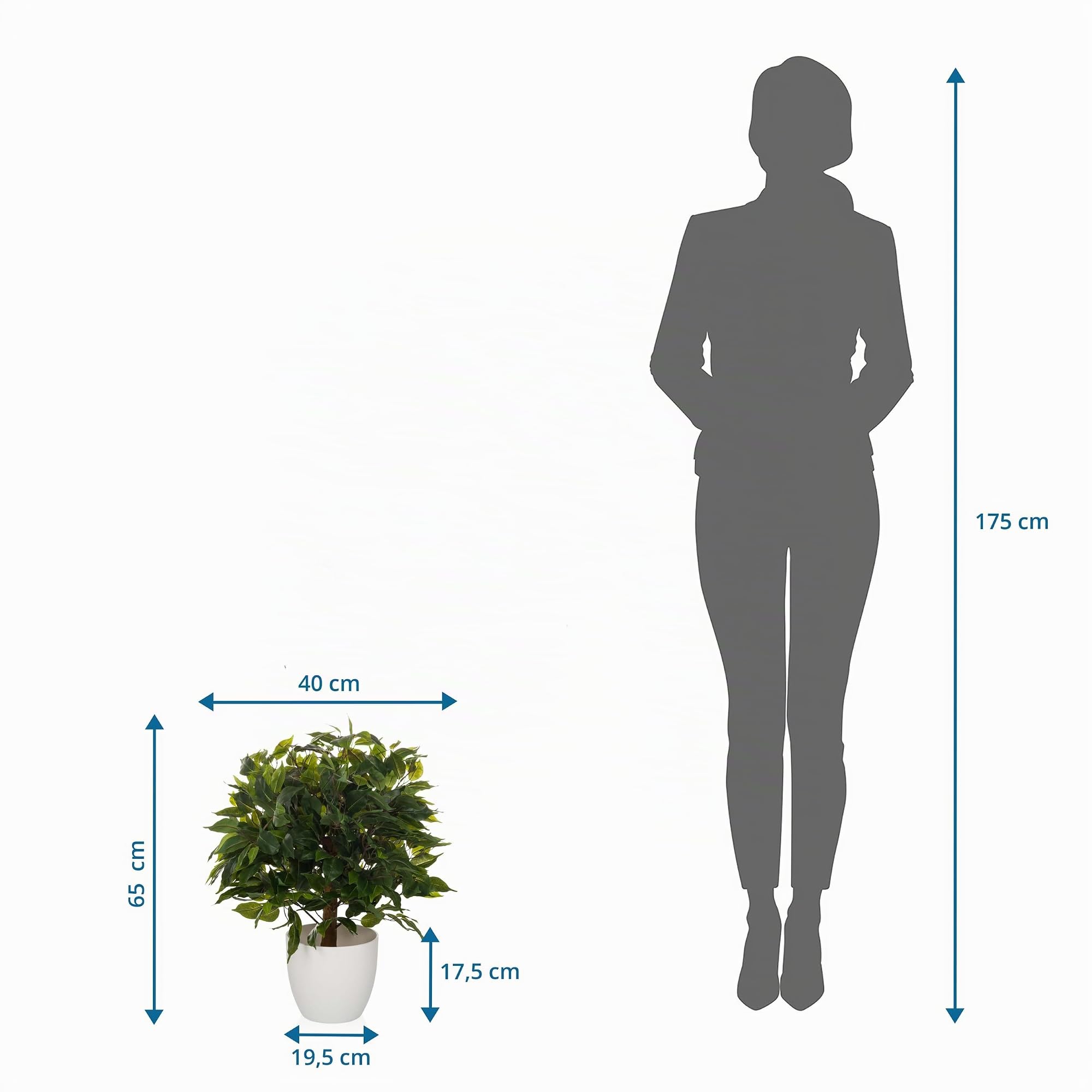 hjh OFFICE Planta Artificial 65 cm FICUS II Planta Artificial Decorativa, Higo de Abedul, árbol Artificial de fácil Cuidado
