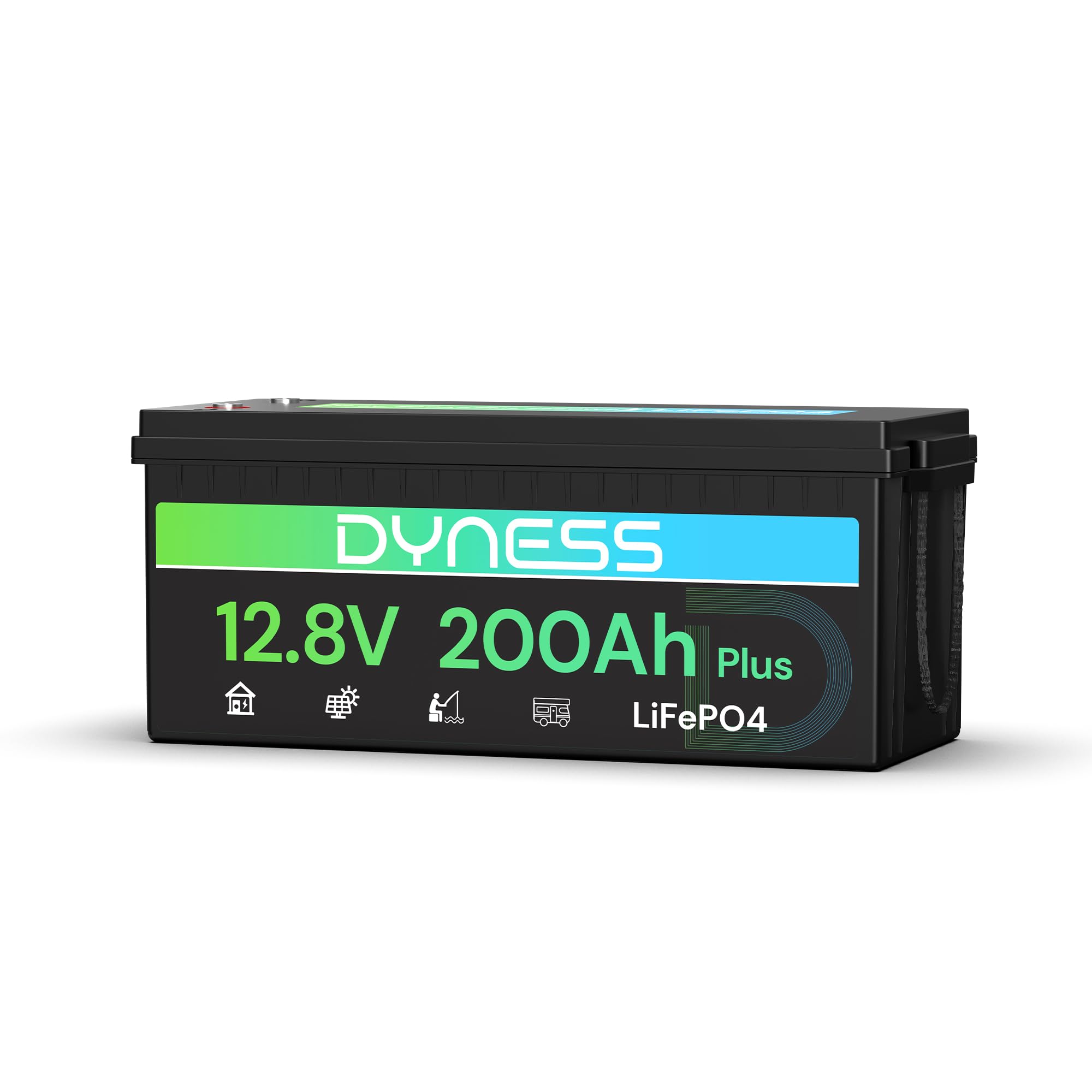 Dyness Batterie Lithium 12V 200Ah LiFePO4 avec BMS 200A intégré et Protection Basse Température, 2560Wh pour Camping-Car/Marin à Décharge Profonde, Solaire, Aventure/Van, Hors-Réseau