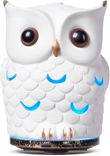ALIEYE Owl Essential Oils Diffuser, Ceramic Hand-Painted Diffuser, 200ML Quiet with Waterless Shut-Off Protection, Cool Mist with 7 Colors LED Lights 2 Mist Mode for Bedroom Home, Office, White
