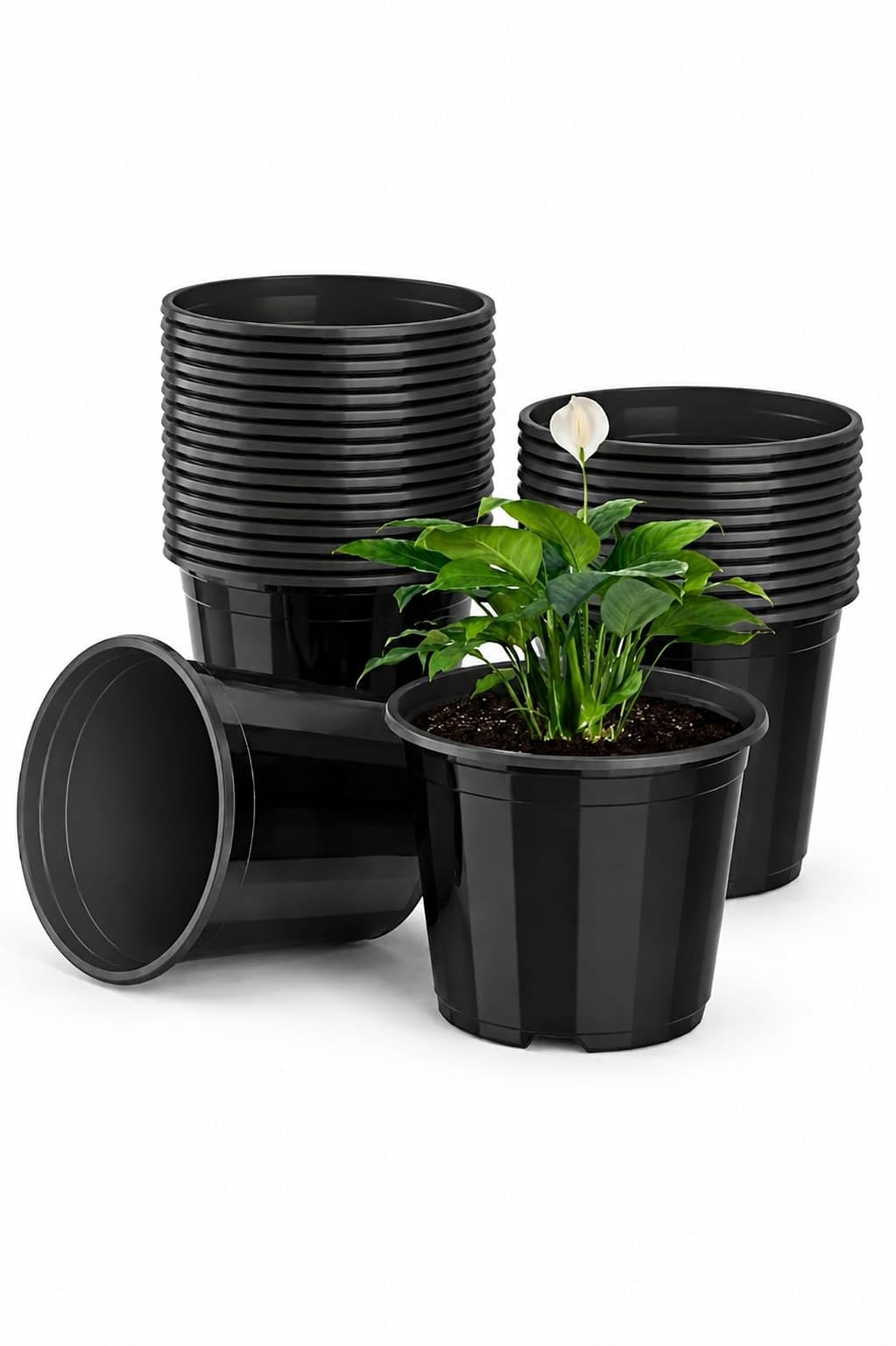 8 Inch Black Plastic Plant Pots (Pack of 10) | Round Nursery Pots for Indoor & Outdoor Gardening | Material: Durable Plastic-image-9