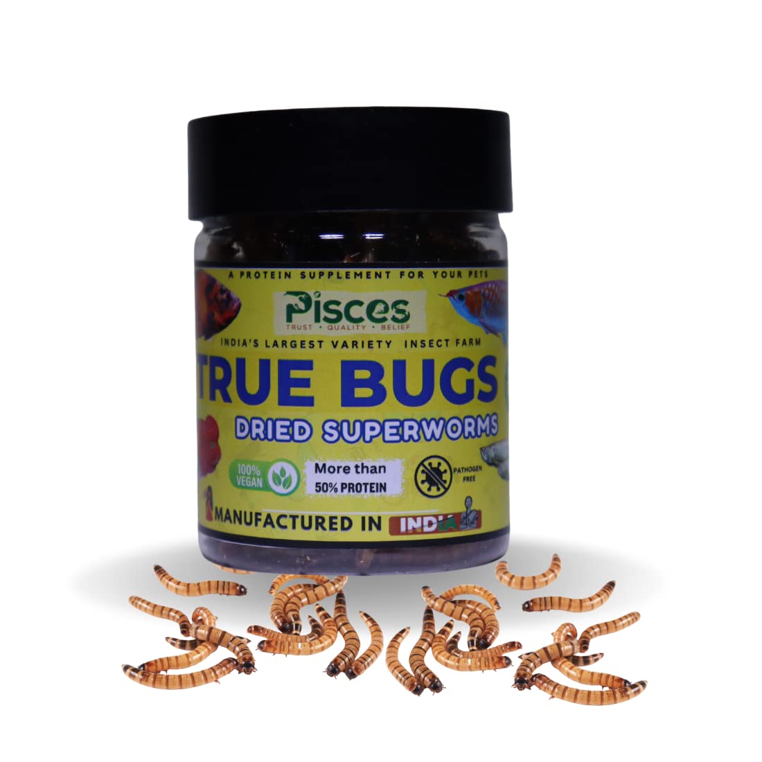 True Bugs Dry SUPERWORMS for Fishes of All Life Stages - 100ml Pack | High Protein Food for Aquarium Fishes Like Arowana, Flowerhorn and Birds, Cichlid, Reptiles, Monkeys and Other Pets (B0C33GYDQV) Amazon Price History, Amazon Price Tracker