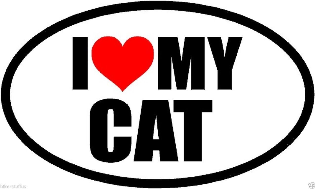 I Love My CAT Bumper Sticker