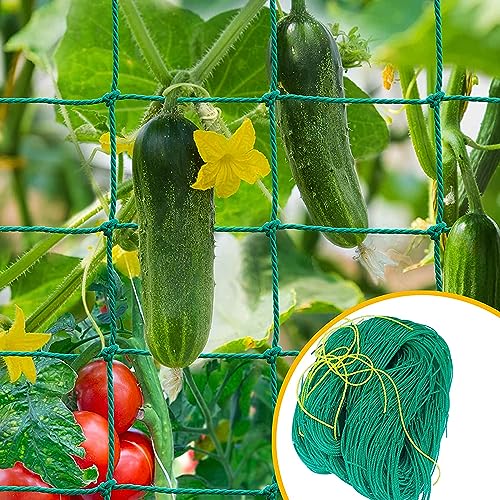 Image of Plastic Climber Plant Supporting net, 10 Feet x 10 Feet (Pack of 1),Green