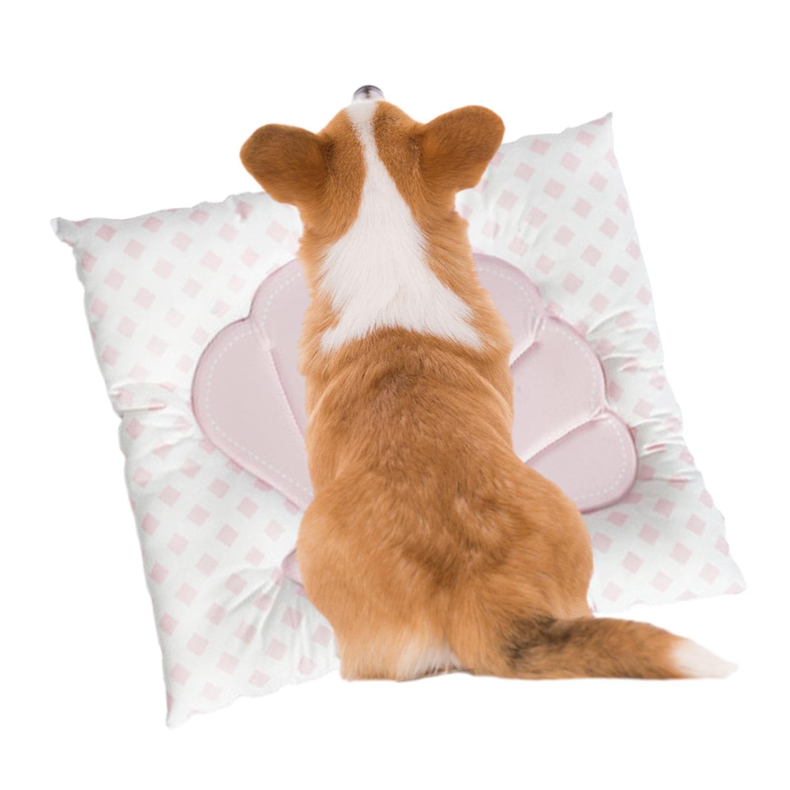 Tapis rafraîchissant pour chien en forme de coque ergonomique pour l'été