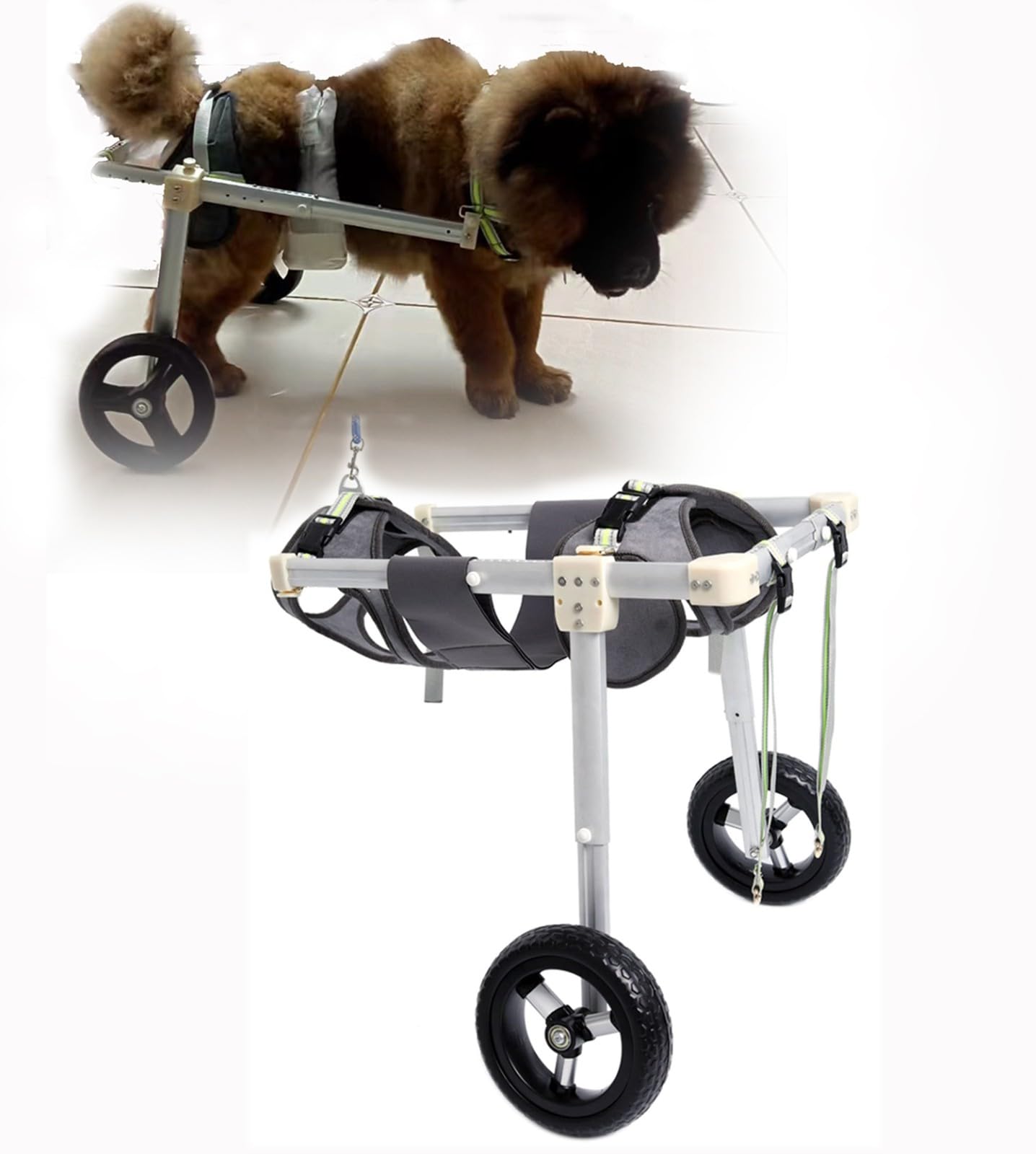 Fauteuil roulant réglable pour pattes arrières pour redécouvrir les balades