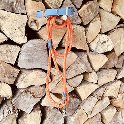 Stevertau REFLECT ORANGE Set aus Tauleine und verstellbarem Halsband aus Biothane