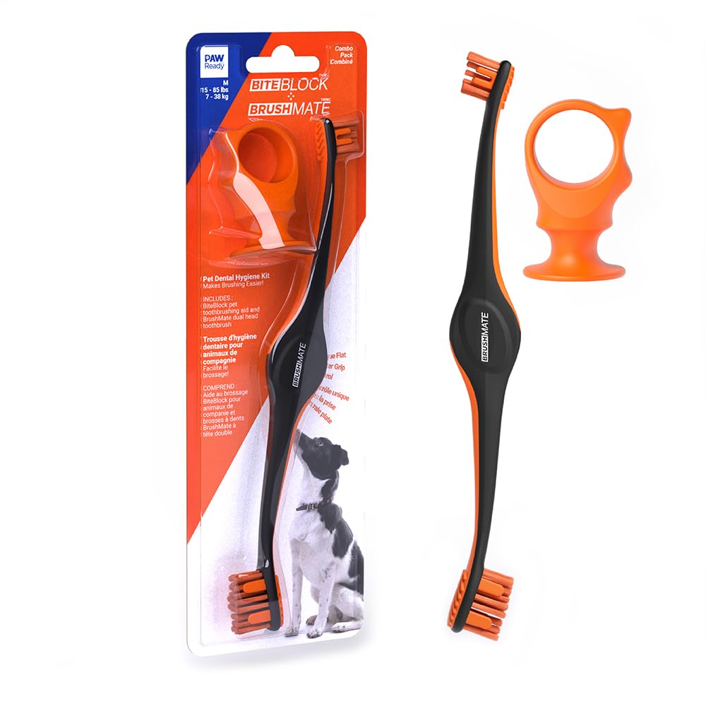 BrushMate Paquete combinado de cepillo de dientes para mascotas y BiteBlock para perros y gatos (mediano, naranja)