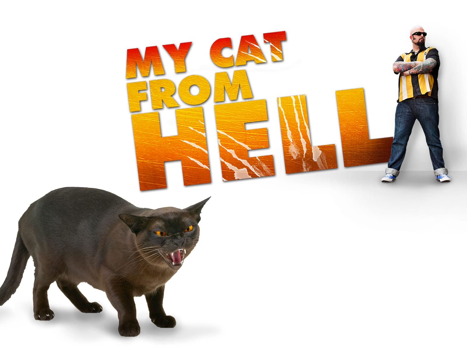 My Cat From Hell Season 7