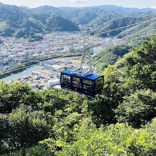 下田ロープウェイ 往復乗車券 (2枚セット)