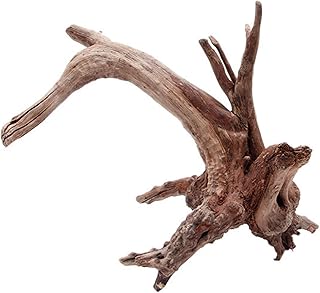 Natural Aquarium Driftwood Assorted Branches Habitat Ornament for Fish for Tank Decoration 4.7" 7.5" 10.6" in Le Decor Outdoor