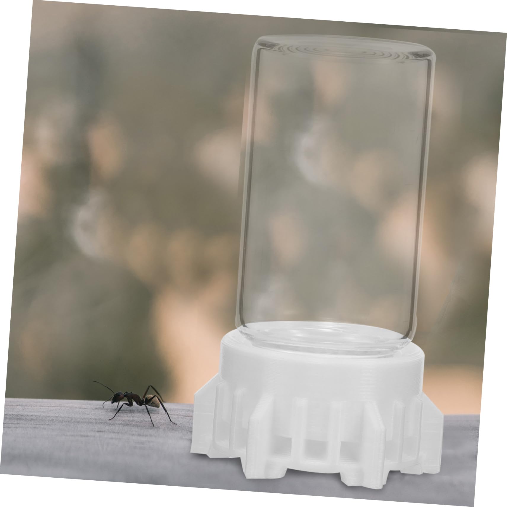 INOOMP 5stücke Ant Wasser Futterspender Transparente Ameisenfütterungsbox Leicht Zu Reinigen Langlebig Für Ameisennester Und Garten Sicheres Trinken Für Ihre Ameisen