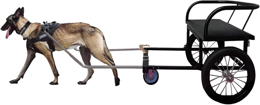 Dog Carts for Dogs to Pull Working Detachable Dogs Pull Carts with Armrests and Pet Harness Dog Trailer for 22lb-132lb Medium/Small/Large Dogs, Load Capacity 100kgSize40-60kg/88lb-132lb