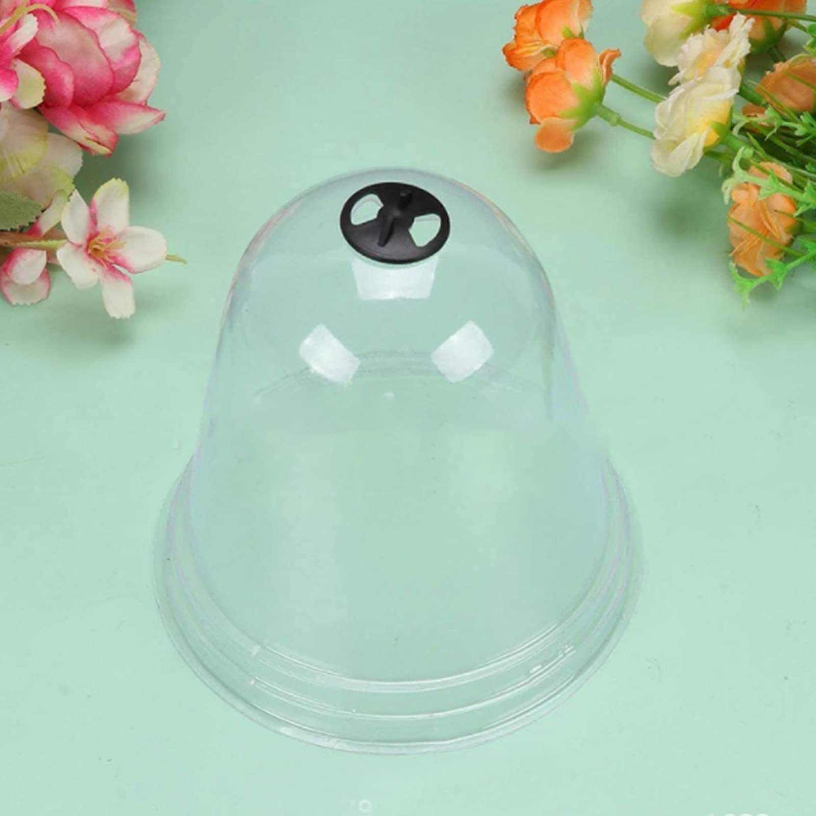 Lot de 6 cloches de protection pour mini serre de jardin avec piquets en métal et étiquettes pour plantes