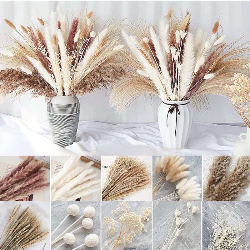 Ramo de Pasto Pampas Seco Boho Decor 100 varas miniatura 4