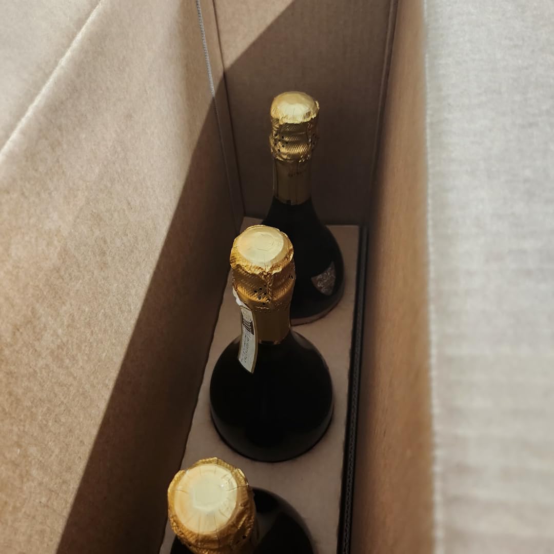 PROSECCO ROLZ DOCG ASOLO-Lot de 3 bouteilles-Vin pétillant- 11% Prosecco D.O.C.G brut, Vin Petillant, Élaboré à Partir du Cépage Glera de Asolo, Goût Fruité et Floral, 3x750 ml