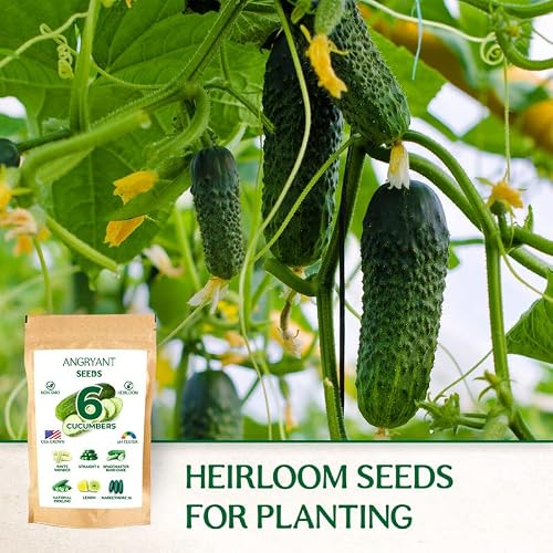 Cucumber Seeds 6 Variety Pack - Non Gmo, Heirloom Seeds For Planting Indoor, Outdoor, And Hydroponic Vegetable Garden - Usa Grown - Including National Pickling, Lemon, Spacemaster Bush Cuke And More #TOP2