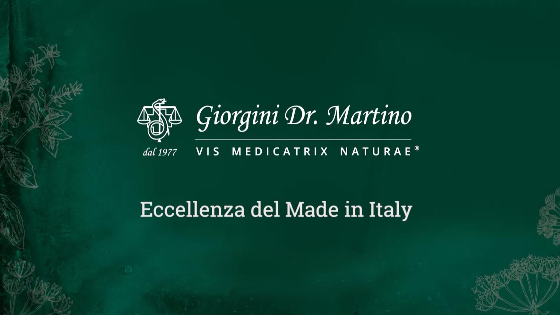 Dr Giorgini Rosa Canina Estratto Integrale Titolato - 500 g polvere