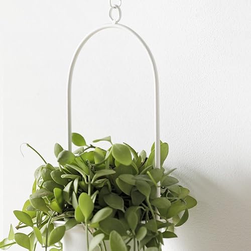 Miniatura 5 de Roomnhome Maceta flotante para interiores con soporte de maceta de plástico, cadena de anillo ajustable de 19 pulgadas de longitud, marco de hierro