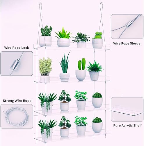Miniatura 4 de Estantes colgantes para plantas de ventana, 4 niveles para tus plantas de interior o jardín de hierbas, soporte acrílico para plantas colgantes en