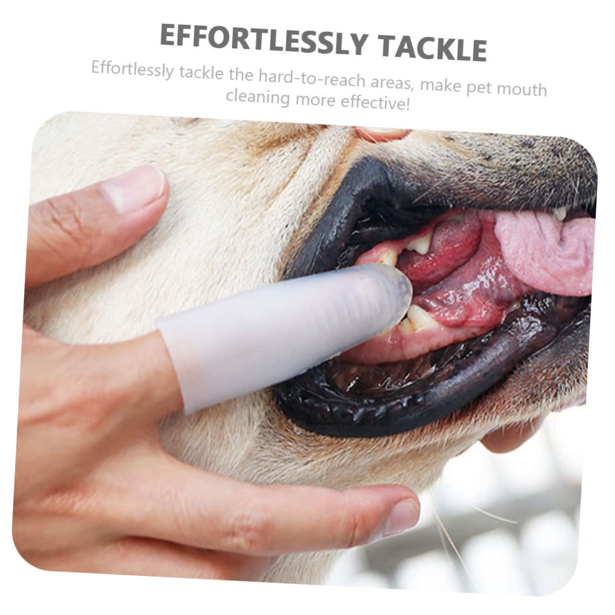4 Pz spazzolino da denti per la pulizia del cane animale domestico orale strumento per la cura dei denti del cane spazzolino spazzolino da denti da Gel di silice bianca