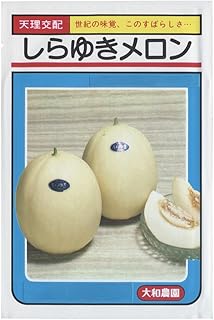 Amazon Co Jp メロン 種