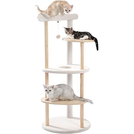 cat playground amazon