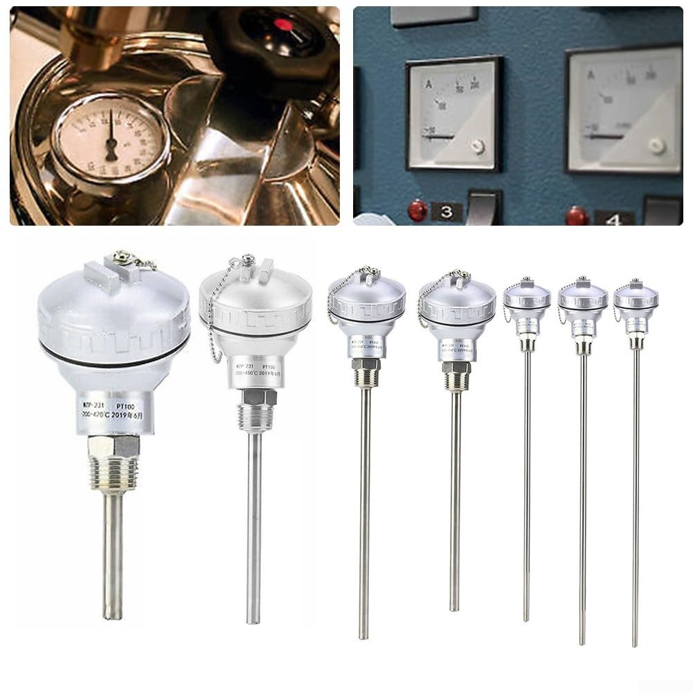 Capteur PT100 de régulation thermique constante M20 400 mm pour cuve
