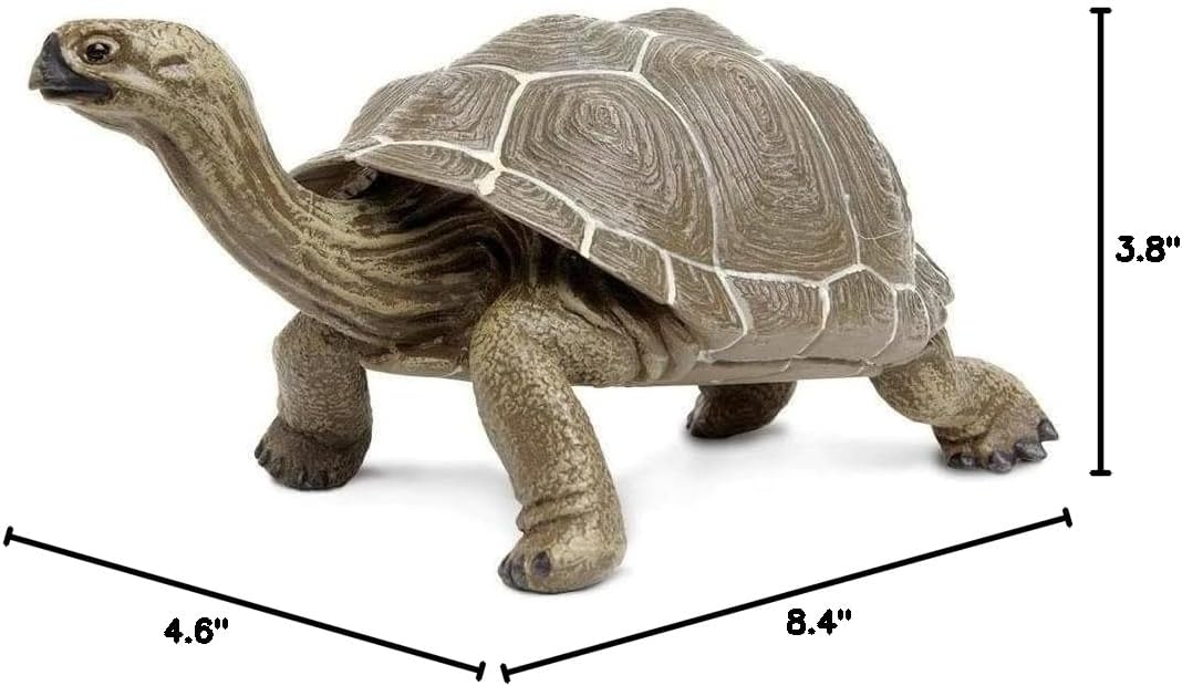 Safari Ltd. Tortoise Figurine - Detailed 8.5" Plastic Model Figure - Fun Educational Play Toy for Boys, Girls & Kids Ages 18 Months+
