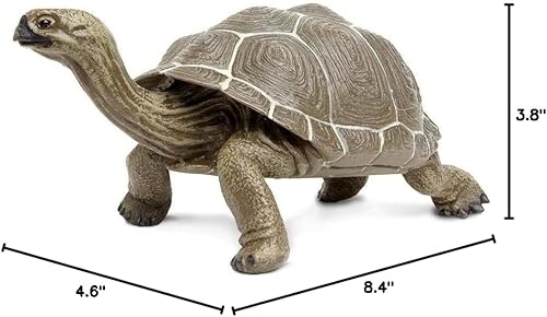 Miniatura 5 de Safari Ltd. Figura de tortuga – Figura detallada de plástico de 8.5 pulgadas – Divertido juguete educativo para niños, niñas y niños a partir de 18