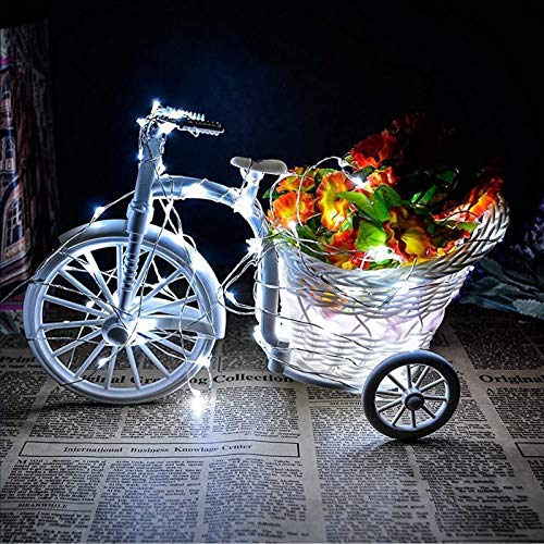 Image of Ruichen USB Power Starry LED Christmas String Lights with 200 Mini Micro LEDs on 66FT Long Silver Wire(White)