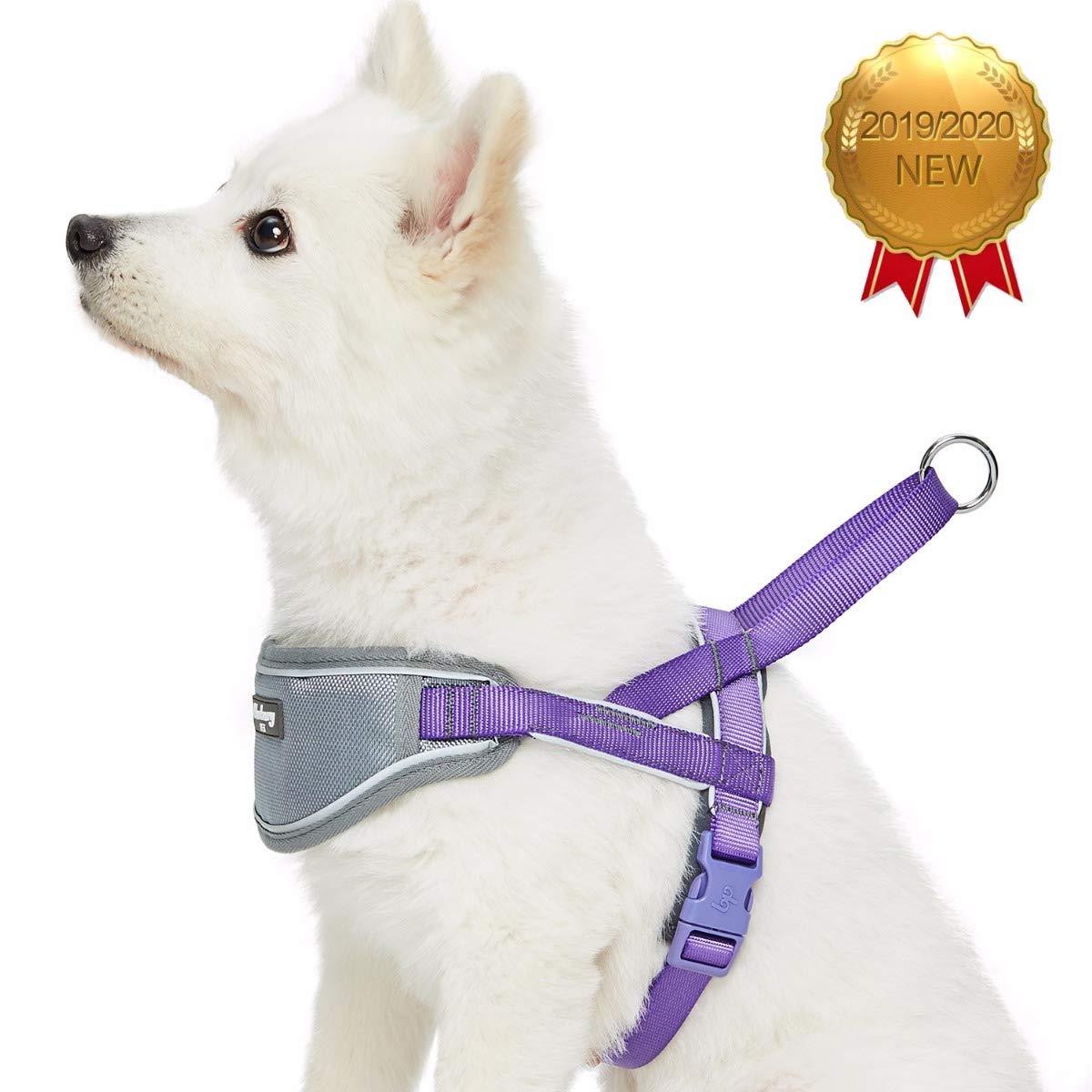 Blueberry Pet Comfy 3M Harnais rembourré avec bandes réfléchissantes pour chien, tour de poitrine 42 cm-54 cm, violet, taille S, harnais de dressage réglable en nylon pour chiens
