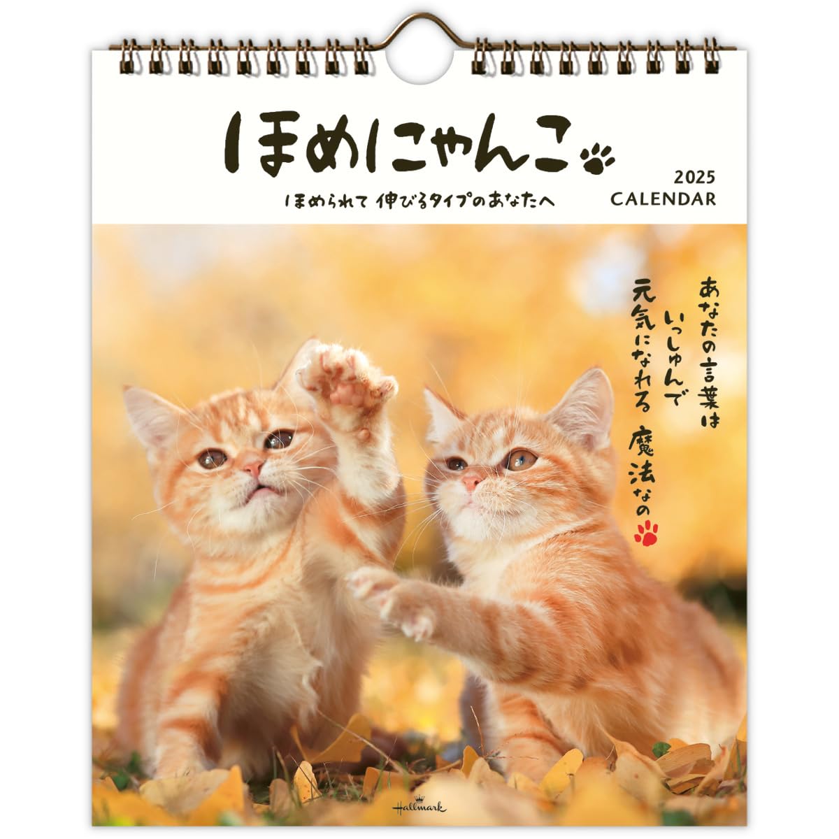 ＸＪＡＰＡＮ,ｈｉｄｅ1993カレンダー hide X JAPAN 1995年カレンダー 新品｜Yahoo!フリマ（旧PayPay