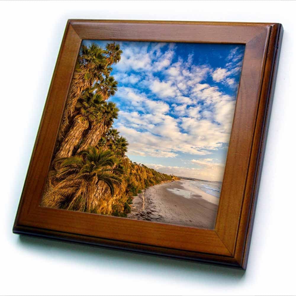 3dRose ft_209984_1 The Golden California Coastline at Swamis Beach in Encinitas, CA Framed Tile, 8 by 8"