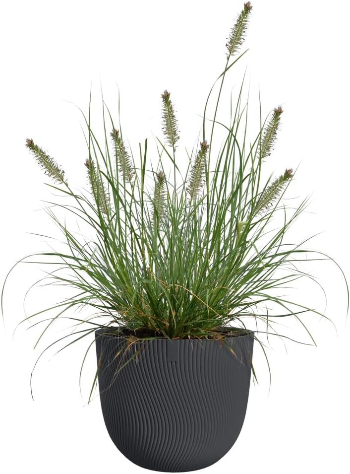 elho Sereh Round 25 - Flower Pot for Indoor and Outdoor Use - 100% Recycled Plastic - Diameter 24.5 x Height 21 cm - Black/Anthracite
