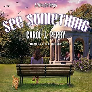 See Something Audiolibro Por Carol J. Perry arte de portada