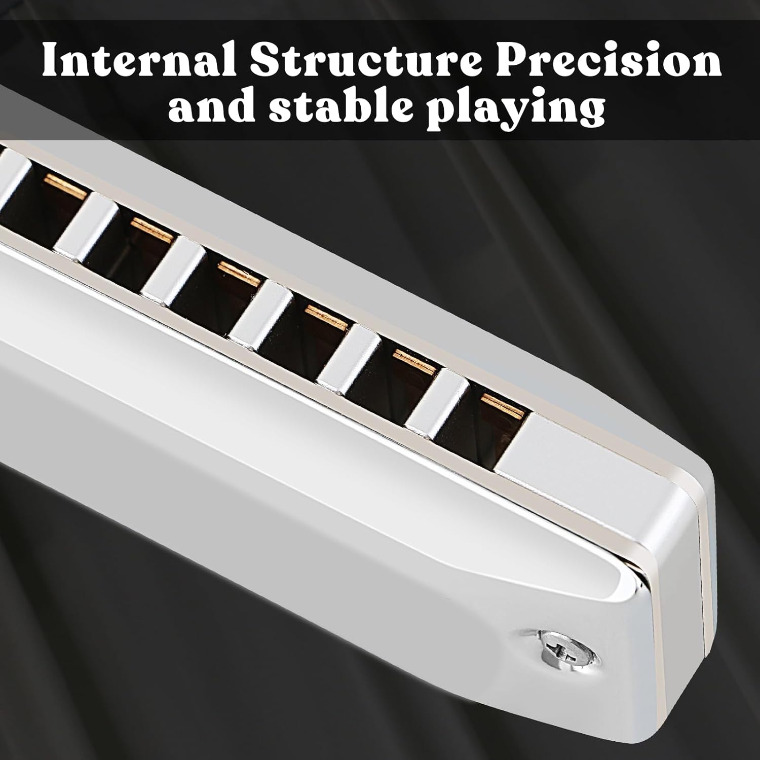 EASTROCK 10 Holes All-metal Professional Harmonica Diatonic Mouth Organ Harmonica for Adults Key of C for Beginners and Students