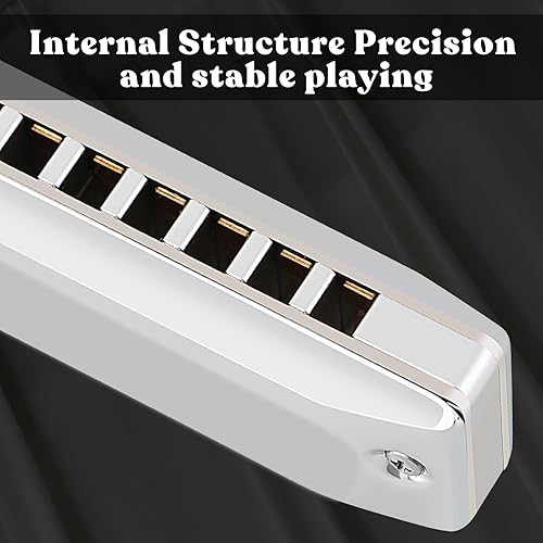 Miniatura 5 de EASTROCK Armónica profesional de metal de 10 agujeros, armónica de órgano de boca diatónica para adultos, clave de armónica C para principiantes y