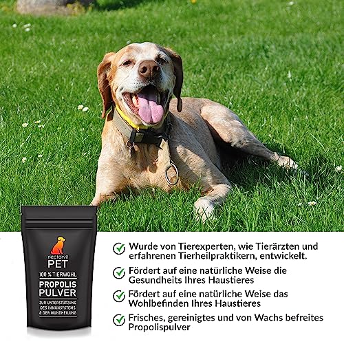 nectarvit PET Propolis Pulver - Die natürliche Wahl für die Gesundheit Ihres Tieres - 50 g