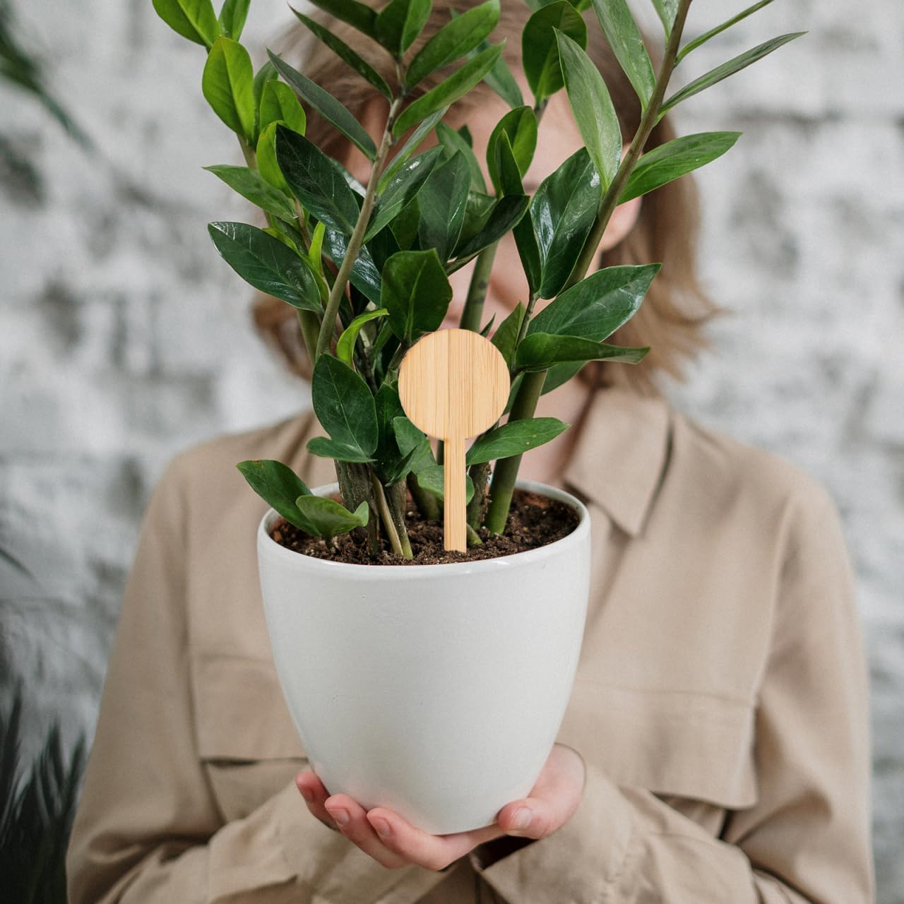 UPKOCH 20pcs Thicken Plant Labels Round Mini Garden Tags for Easy to Insert Color for Writing for Herb Flower and Vegetable Identification image 2