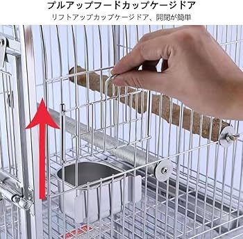 オオホシハジロのスタディバード　バードカービング バードカービング – アイスタジオウッズ 公式通販サイト