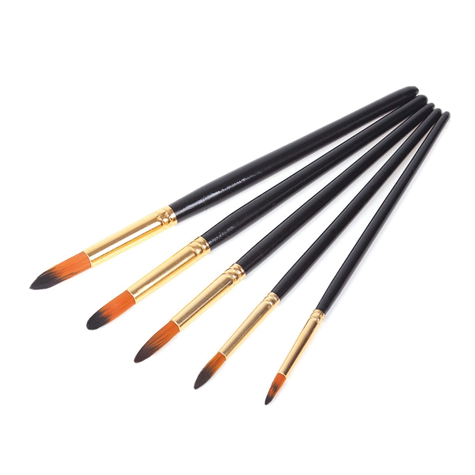 XBTGS Juego de 5 pinceles de madera negra para acuarela, pinceles de pintura de nailon, suministros de pintura artística para estudiantes, D, D