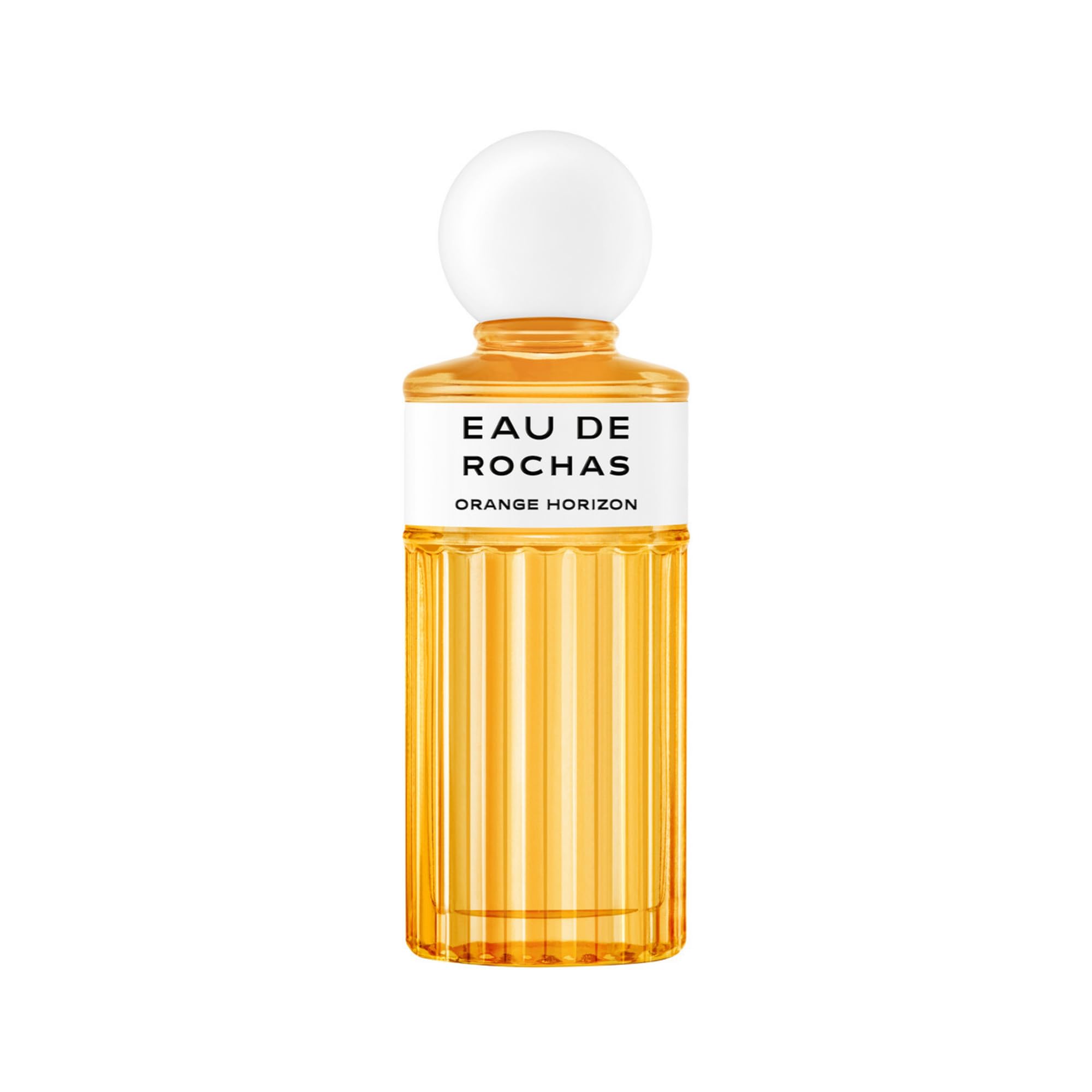 Rochas Eau de Rochas Orange Horizon EDT 100 ML : Amazon.in: Beauty