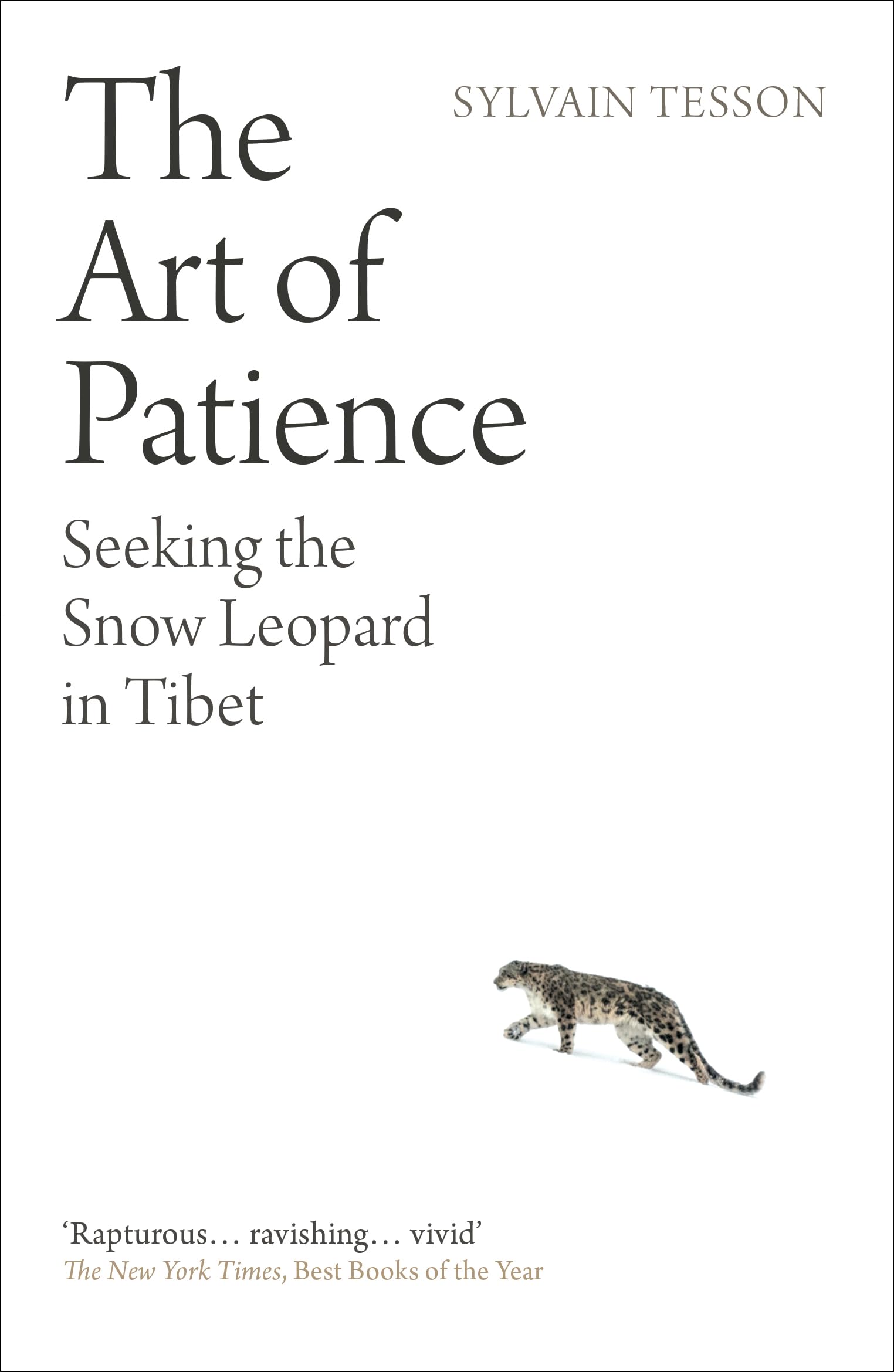 The Art of Patience: Seeking the Snow Leopard in Tibet
