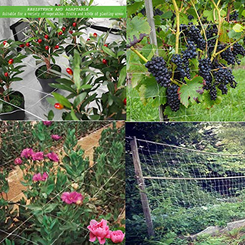 Basegoal All-Weather Trellis Netting Mesh Plant Garden Vine Growing Flexible String Net (3.5" Mesh 5' X 15'-2Pack) #TOP4