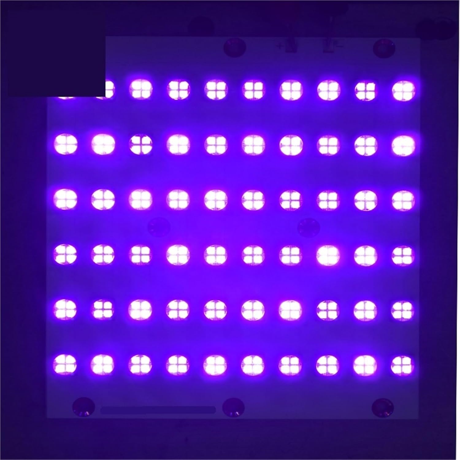 600W UV LED Light 365nm 385nm uv 395nm uv led lamp 405nm uvled Curing lamp for Drying Offset Ink Printing(365nm)