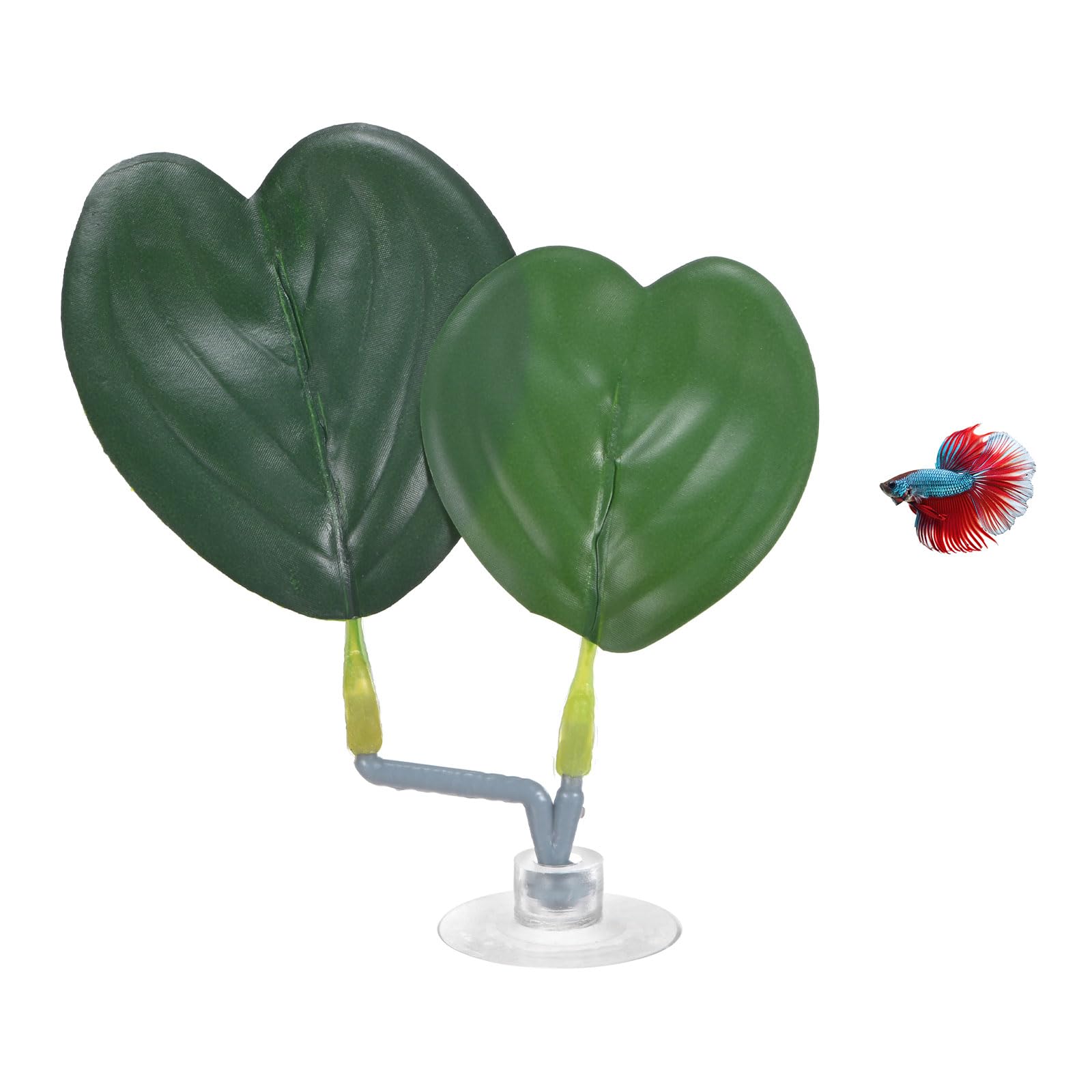 M METERXITY 1-Pack Betta Fish Leaf Pad, Hammock Plant Leaf Pad